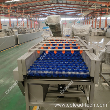 Fruit vegetable brush washing machine from Colead